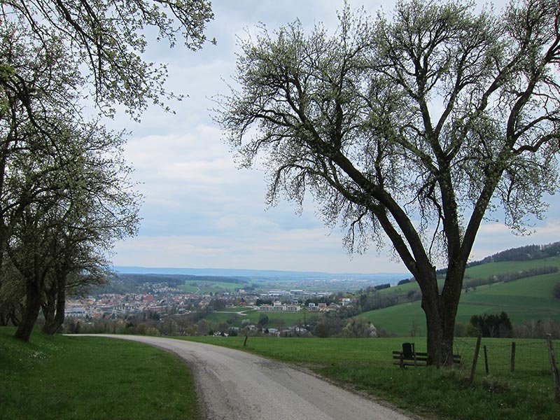 wiesenwienerwald